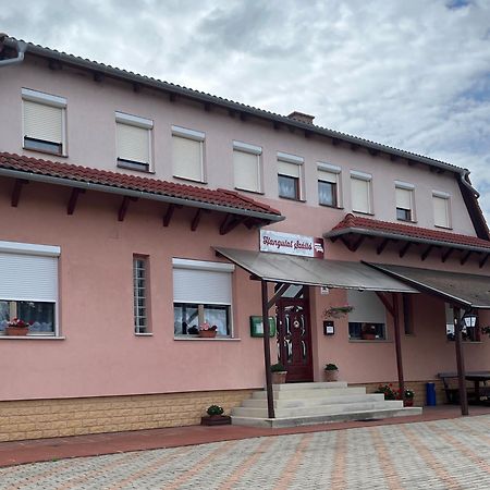 Hangulat Szálló Zalaszentbalazs Kültér fotó